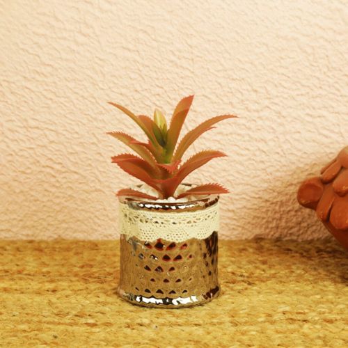 Artificial Plant | Decorative Plant | Acrylic Body