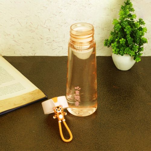 Water Bottle  with strainer 600ml