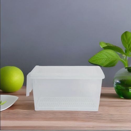 SUPER 99 Plastic Airtight Heavy Quality Transparent Container with lid- Size:  15.5cmX 29cm